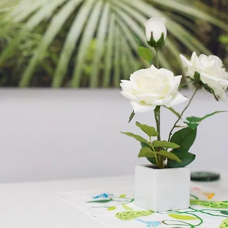 Apartment Hercules *